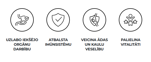 Ekranuznemums_2025-08-21_210748.png